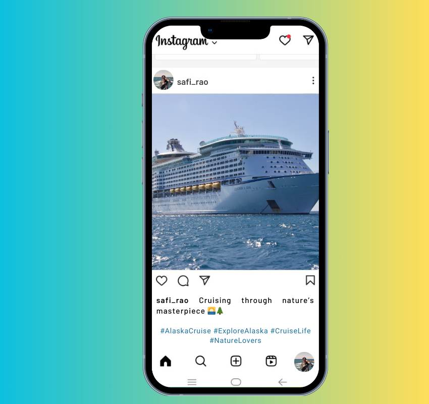 a cruise in sea