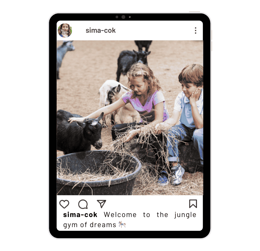 Animal Kingdom Instagram Captions