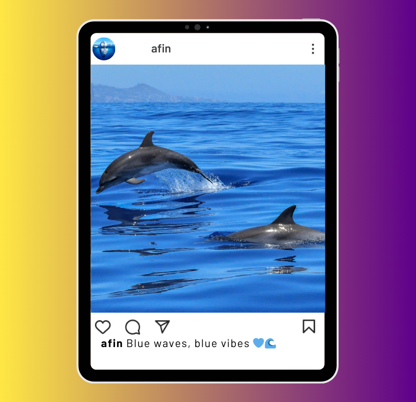 Blue Ocean Captions for Instagram