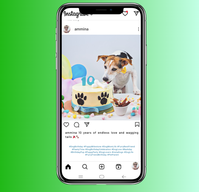 Cumpleaños del perro Instagram Leyendas para hitos de cumpleaños