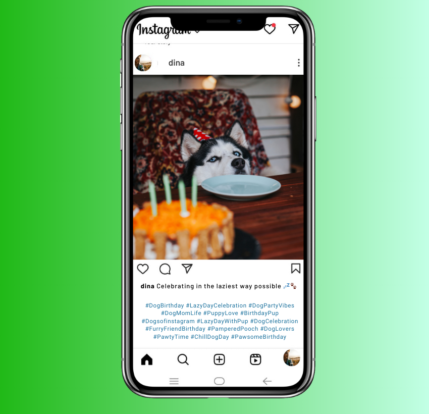 Cumpleaños de perro Instagram Leyendas para celebrar el Día de la Pereza