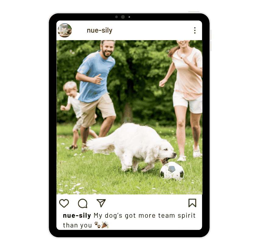 Football Dog Instagram Captions