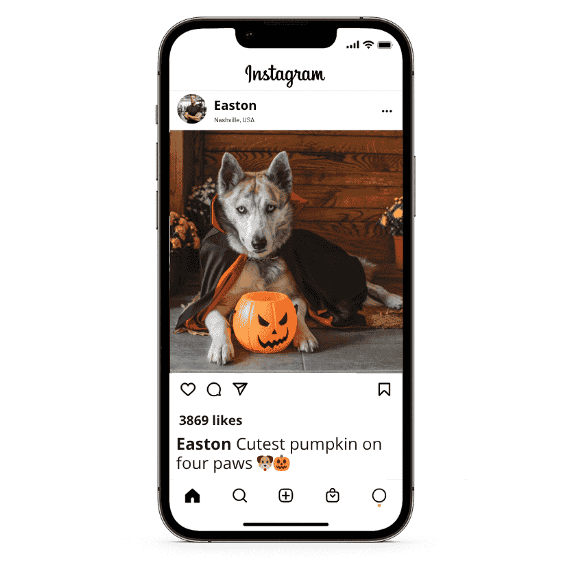 Halloween Dog Instagram Captions