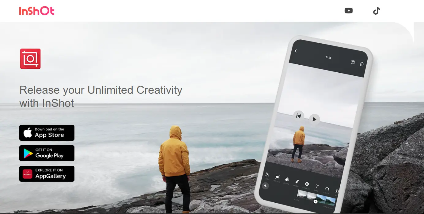 Site web de l'InShot