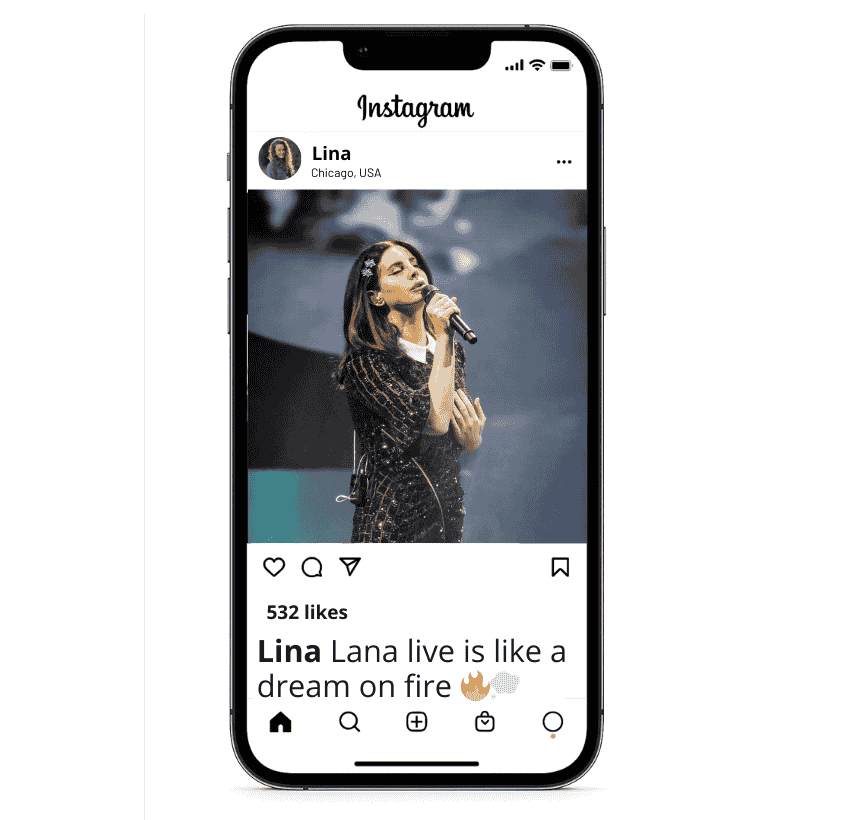Didascalie del concerto di Lana Del Rey Instagram