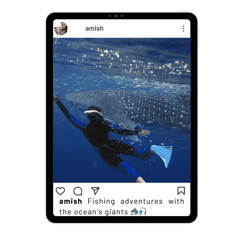 Shark Fishing Instagram Captions