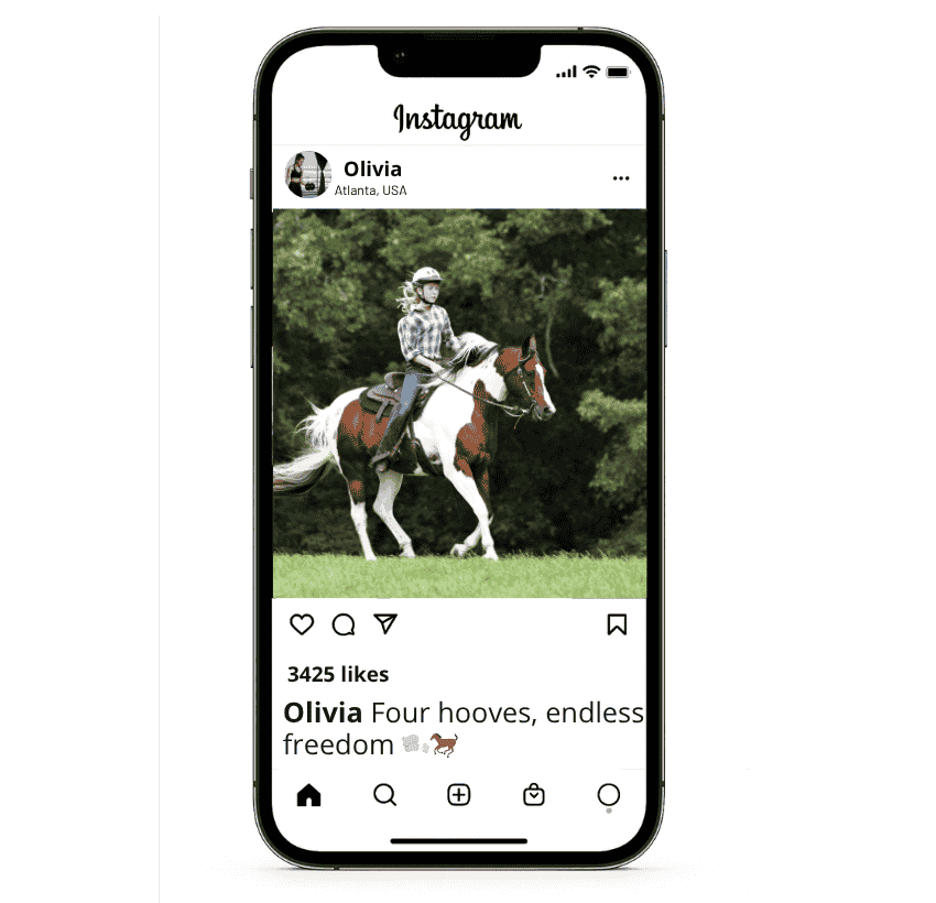 Short Horse Instagram Captions