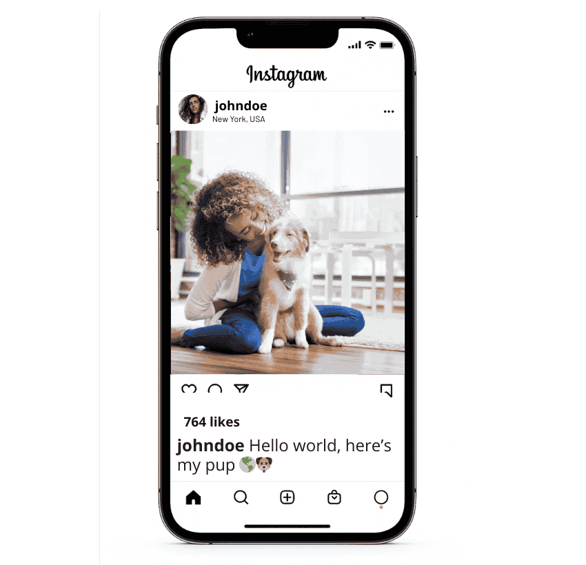 Short Puppy Announcement Instagram Captions