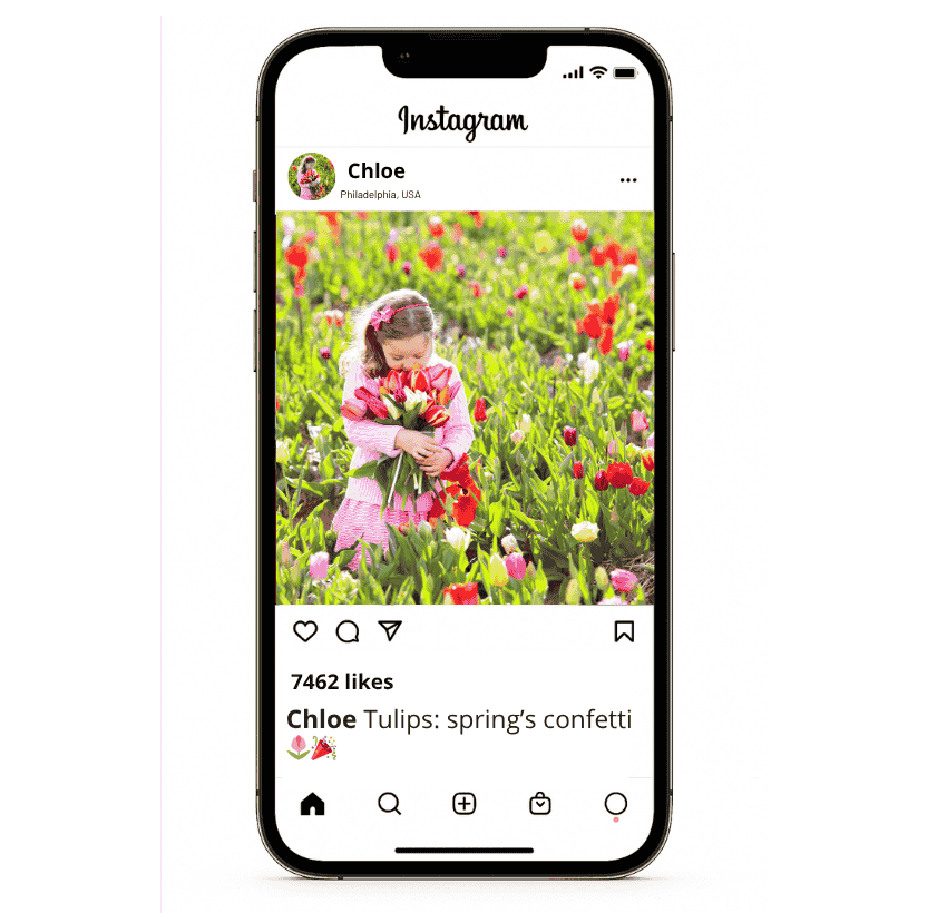 Tulip Garden Captions for Instagram