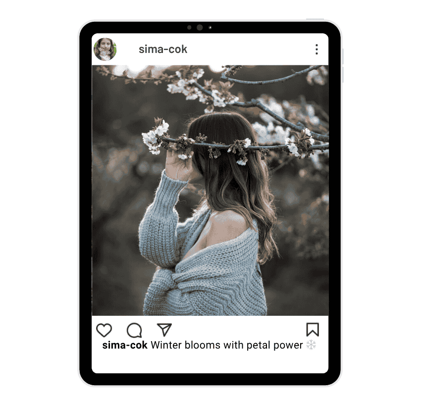 Winter Flower Captions for Instagram