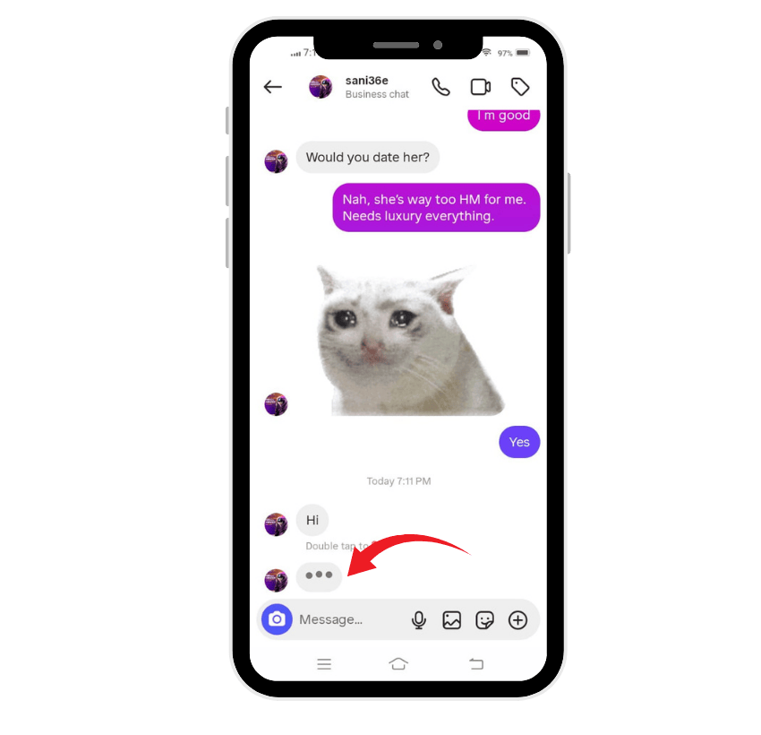 instagram in chat