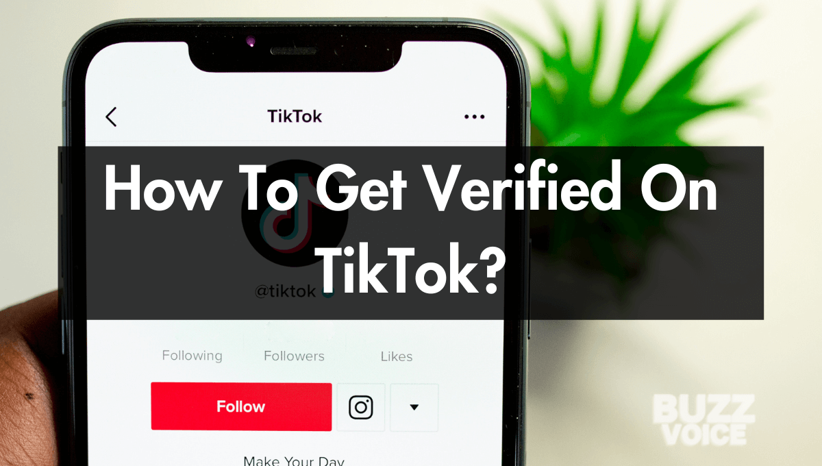 How To Get Verified On TikTok in 2026 (5 Easy Steps)