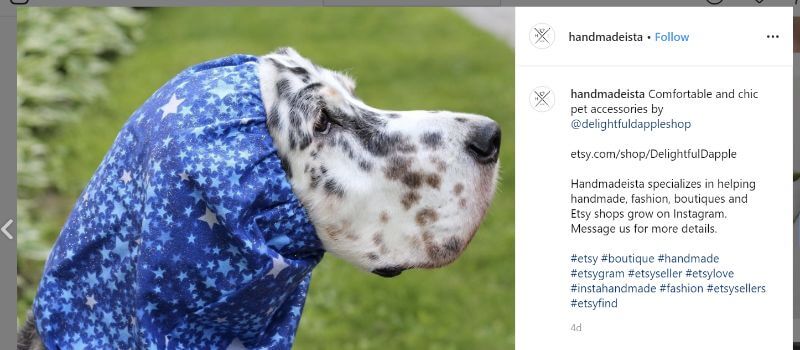 Must-Have Pet Accessories: Dog Snoods - Delightful Dapple