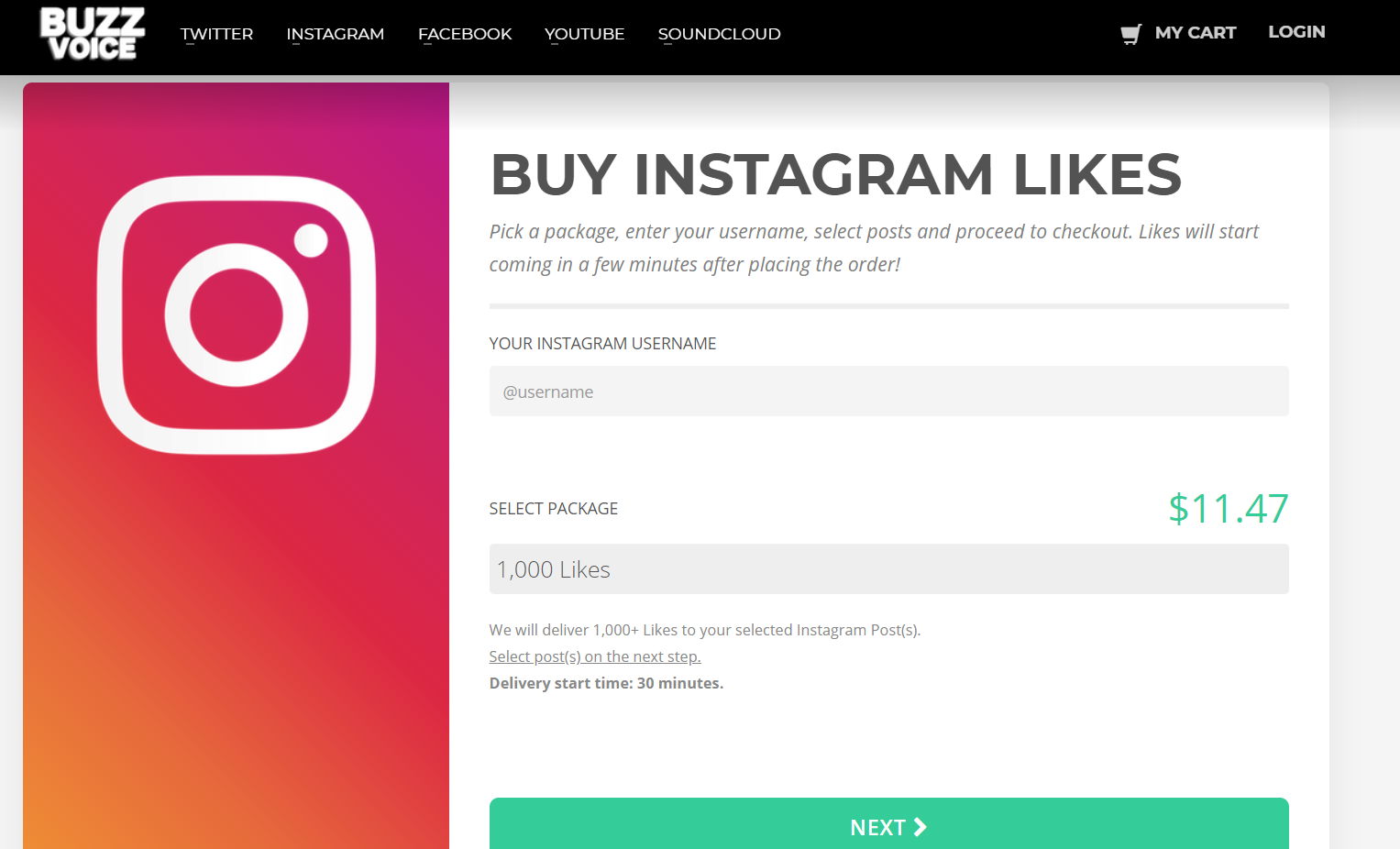 Buy Instagram Likes from BuzzVoice