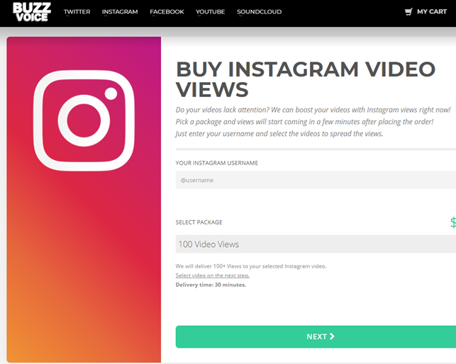 Buy Instagram Views from BuzzVoice