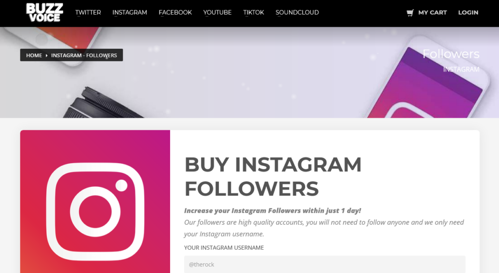 buy instagram followers from buzzvoice
