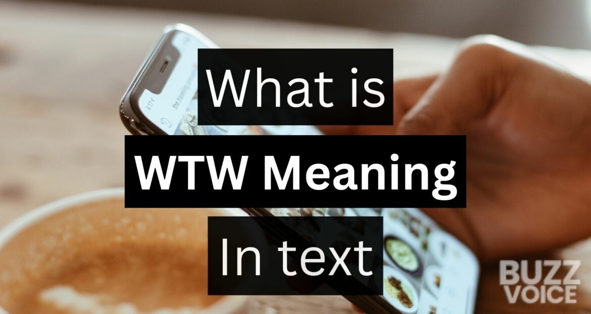 An infographic with the query "What is WTW Meaning In text" displayed over an image of a person holding a smartphone.