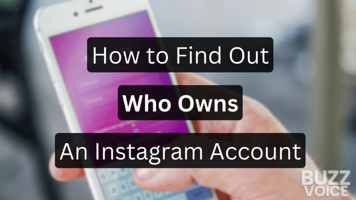 How to find out how owns an instagram Account
