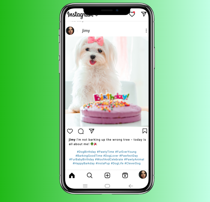 Dog Birthday Instagram Captions for Clever Wordplay