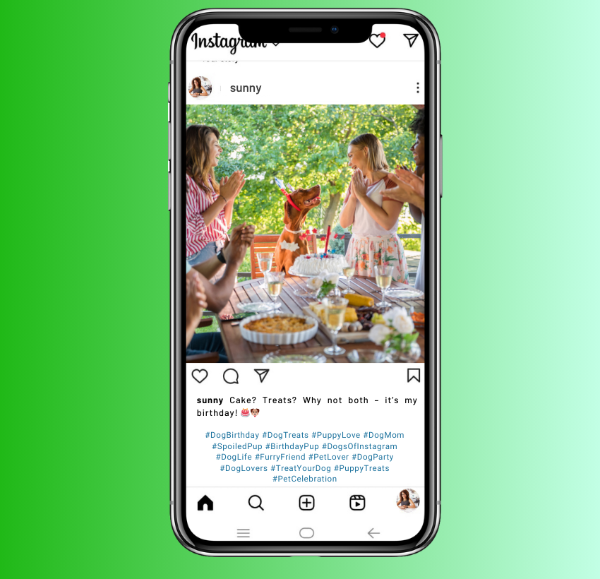 Dog Birthday Instagram Captions for Dog Treat Love