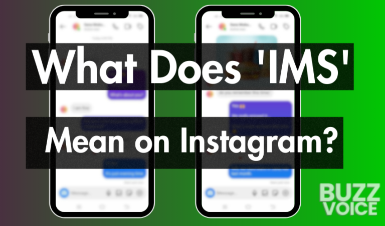ims meaning text instagram