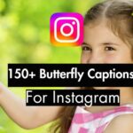 150+ Butterfly captions for instagram For Instagram (18 Curated Lists)