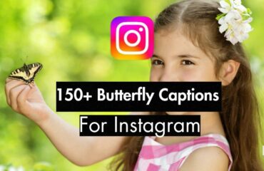 150+ Butterfly captions for instagram For Instagram (18 Curated Lists)