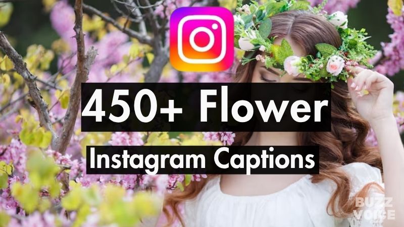 450+ Formal Instagram Captions (78 Curated Lists)
