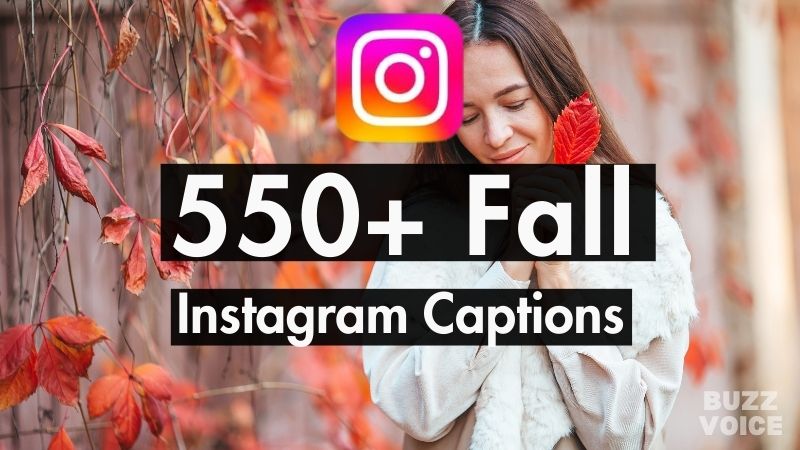 550+ Fall Instagram Captions (57 Curated Lists)